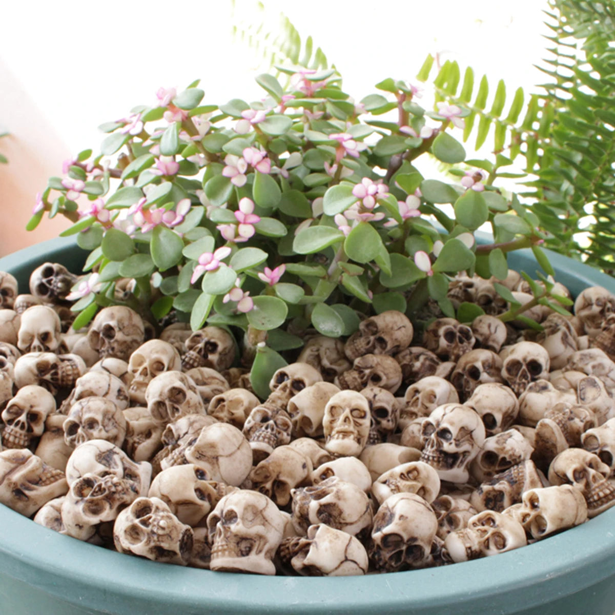 Mini Skull Figurines Set of 20 — Gothic Skeleton Head Bonsai & Garden Decor for Halloween & Dark Home