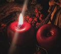 Poison Apple Ritual Candle – Dark Aromatherapy Gift for Christmas, Halloween & Gothic Decor
